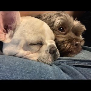 Meet your Posher, Desirae